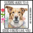 sending hugs to a good friend - by Robbie