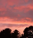 Orange Sunset Background