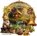 Enchanted Forest - Jane