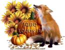 Cute Fox - Jane
