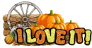 I LOVE IT PUMPKIN HARVEST FALL AUTUMN