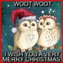 Woot Woot - Merry Christmas