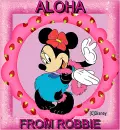 Aloha from Robbie