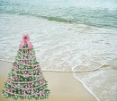Summer Christmas Background