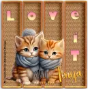 Two Kitties Love it - Tonya