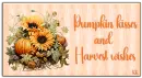 Pumpkin kisses and harvest wishes