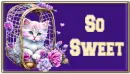 Cute Kitty - so sweet