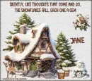 Snowflakes ......Jane