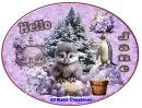 Cute Penguin - Hello - Jane