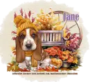 Autumn Basset Hound - Jane