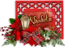 Christmas Siggie tag - Shakela 