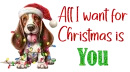 All I want for Christmas is YOU
