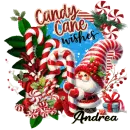 Andrea - Gnome Candy Cane Wishes Christmas Peppermint Santa