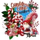 Ariel - Gnome Candy Cane Wishes Christmas Peppermint Santa