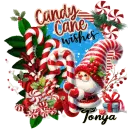 Tonya - Gnome Candy Cane Wishes Christmas Peppermint Santa