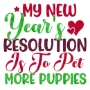 My New Year's Resolution