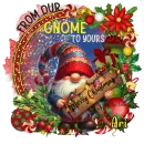 Ari - Merry Christmas from my Gnome to yours