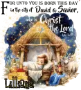 Lilliana - Christmas birth Jesus Luke 211 Christ the Lord