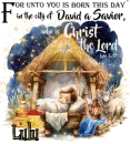 Lulu - Christmas birth Jesus Luke 211 Christ the Lord
