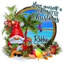 Robbie - Have yourself a Beachy little Christmas Gnome Beach Summer