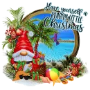 Have yourself a Beachy little Christmas Gnome Beach Summer