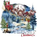 Loraine - May you never be to old to search the skies on Christmas Eve Santa Sleigh Reindeer