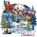 Lilliana - May you never be to old to search the skies on Christmas Eve Santa Sleigh Reindeer