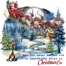 Lulu - May you never be to old to search the skies on Christmas Eve Santa Sleigh Reindeer