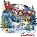 May you never be to old to search the skies on Christmas Eve Santa Sleigh Reindeer