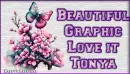 Flowers and butterfly - Tonya