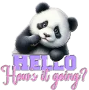 Panda Bear 