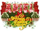 Ariel-Birthday Gift