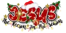 Jesus is the reason for the season Christmas