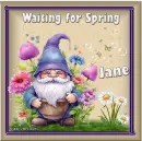 Spring Gnomie - Jane