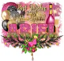 Ariel-New Year Wishes