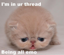 emo kitty