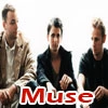 muse