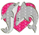Dolphins