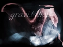 gravitation