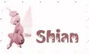 Tink-Shian