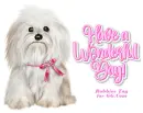 Have a Wonderful Day!