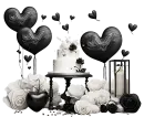 Black n White Romance