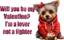 Be my Valentine....