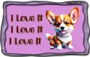 Little Corgi - I love it 