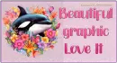 Orca - beautiful graphic