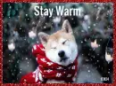 Stay Warm