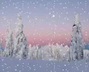 Snow Scape Backround