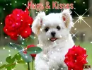 Hugs & Kisses