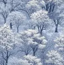 Winter background snow