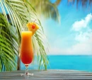 Beach Tropical Background